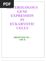 Download Hetero Logo Us Gene Expression by saahiba16 SN30458481 doc pdf