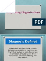 5 - Diagnosing Organizations