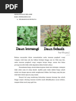 Download Kemangi Dan Selasih by Arif Wicaksono SN304618230 doc pdf