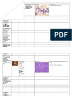 Summary Table - Hematologic Malignancies