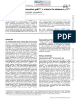 Recombinant Form of Mammalian gp91 Is Active in The Absence of p22