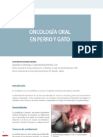 CV - 38 - Oncología Oral en Perro y Gato