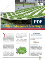 Cultivo Hidropónico de Lechuga.pdf