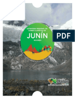 ERCC_Junin_8dicOK (1).pdf