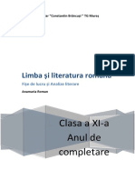 Clasa A 11a Brosura An de Completare PDF