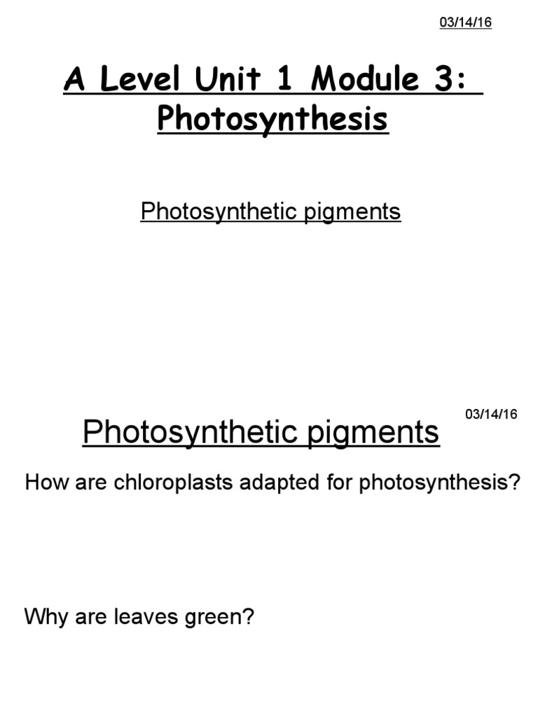 Lesson 3&4- Photosynthetic Pigments and Light Dependent ...