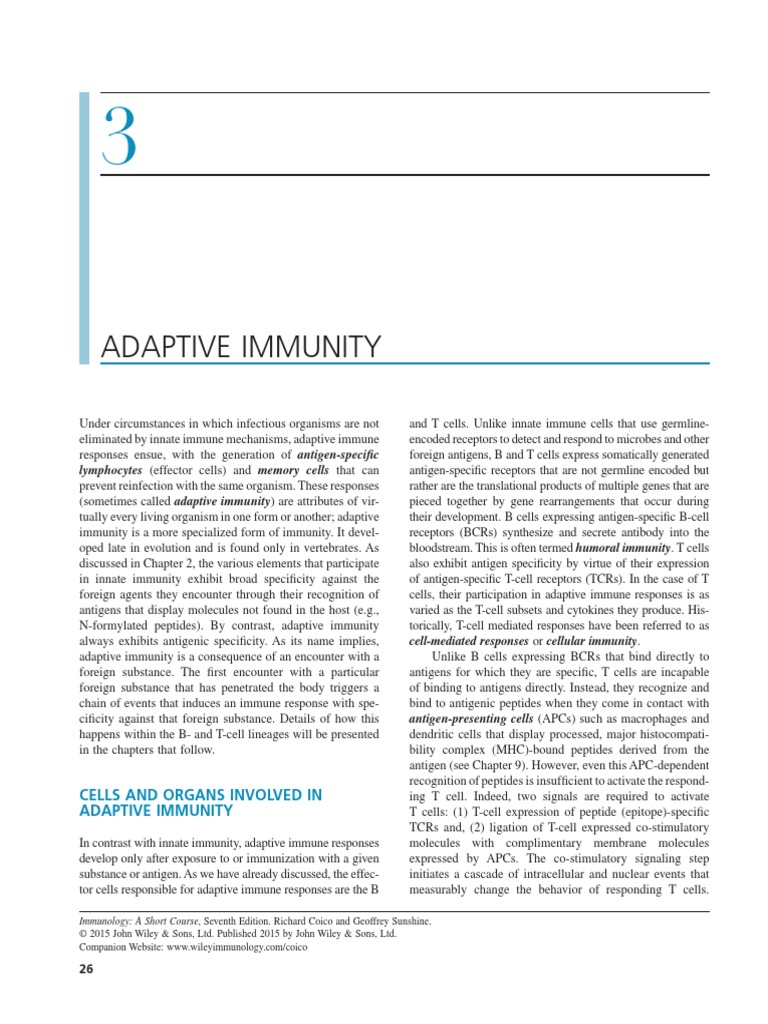 Cells and Organs Involved in Adaptive Immunity | PDF | Adaptive Immune ...