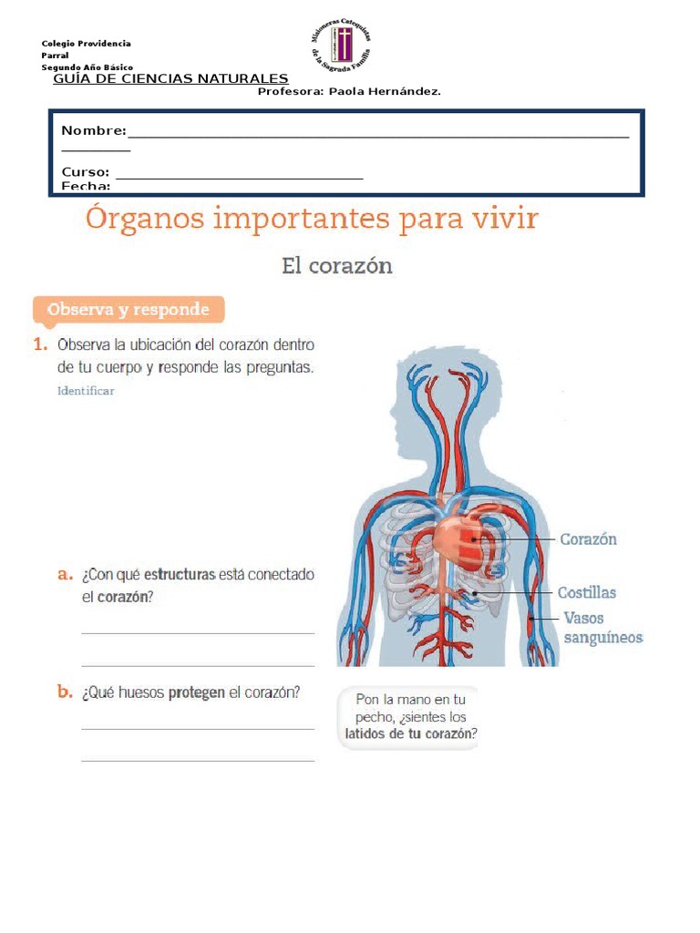 Guía Astrológica Para Corazones Rotos Pdf Gratis