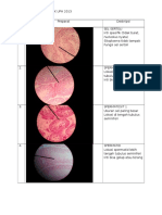 Histologi Blok Reproduksi