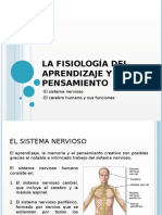 La Fisiología Del Aprendizaje y El Pensamiento