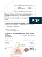 prueba de diag. ciencias 6°