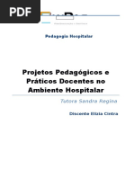 Projetos Pedagógicos e Práticos Docentes no Ambiente Hospitalar
