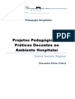 Projetos Pedagógicos e Práticos Docentes No Ambiente Hospitalar