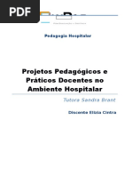 Projetos Pedagógicos e Práticos Docentes no Ambiente Hospitalar