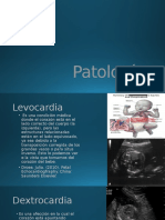 patologias3 pptm