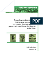 ecologia y modelacion de la dinamica de grupos morfo-funcionales de macroalgas en pastos marinos al Norte de Ciego de Ávila, Cuba