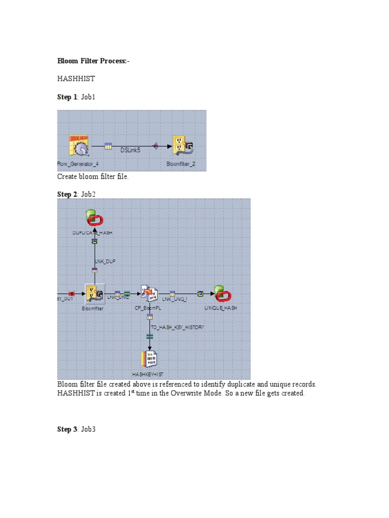 Bloom Filter Process | PDF | Computers