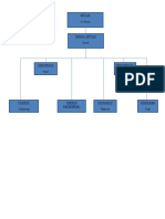 Struktur Organigram IRMAS