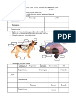 Biología y Geología de 1ºESO. Tema 5: Los Vertebrados