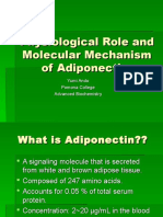 Ando Adiponectin Presentation