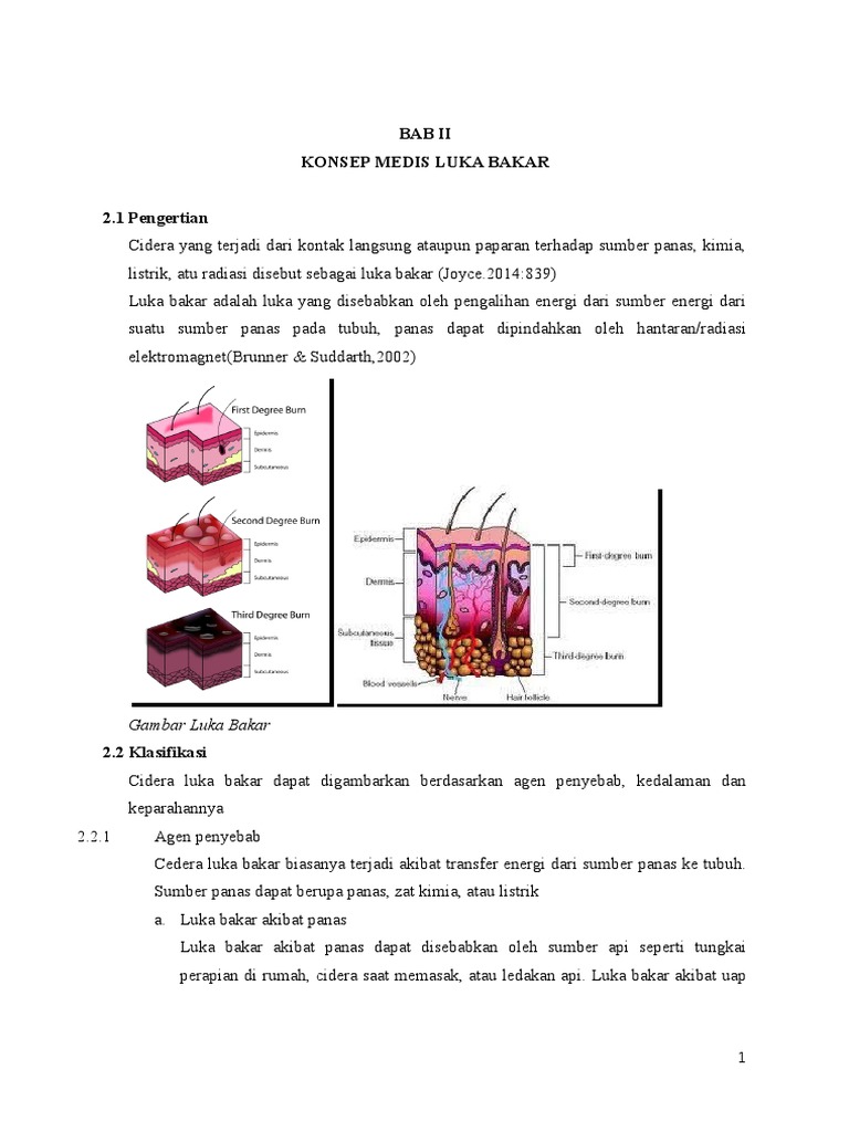 Asuhan Keperawatan Luka Bakar