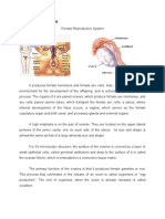 Grandcase Ovarian Cancer