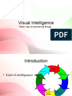 Visual Intelligence: Other Way of Perceiving Things