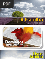 Domingo 03 - A Escolha