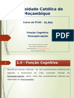 Psicopatologia Da Função Cognitiva