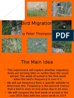 Bird Migration 2