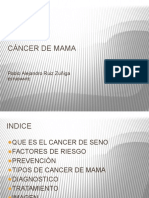 Diapositiva de Cancer de Mama