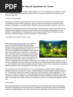 Tips Merawat Ikan Hias Di Aquarium Air Tawar
