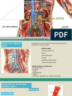 Sindrome Vena Cava Inferior