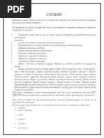 plan de afaceri constructii.doc