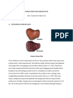 Terapi Diet Pada Sirosis Hati