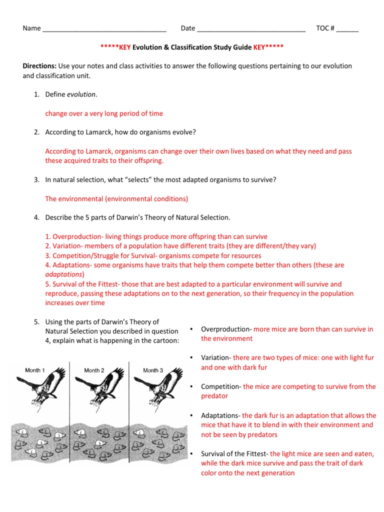 study-guide-questions-key-pdf-natural-selection-evolution