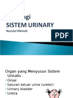 Histologi Sistem Urinalis