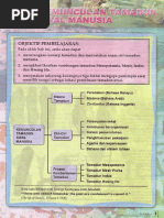 Soalan Kbat Sejarah Tingkatan 4 Piagam Madinah - Bca Contoh