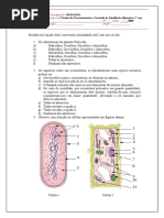 Teste_Biol_10_CQA.docx