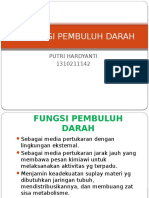 Fisiologi Pembuluh Darah 