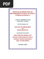 Download Elan Thesis by Elangovan M SN30499556 doc pdf