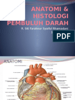 Histologi & Anatomi Pembuluh Darah