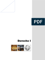 FP5S-DERECHO1