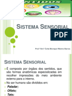 Sistemas sensoriais do corpo humano