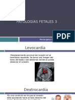Patologias Fetales3 2