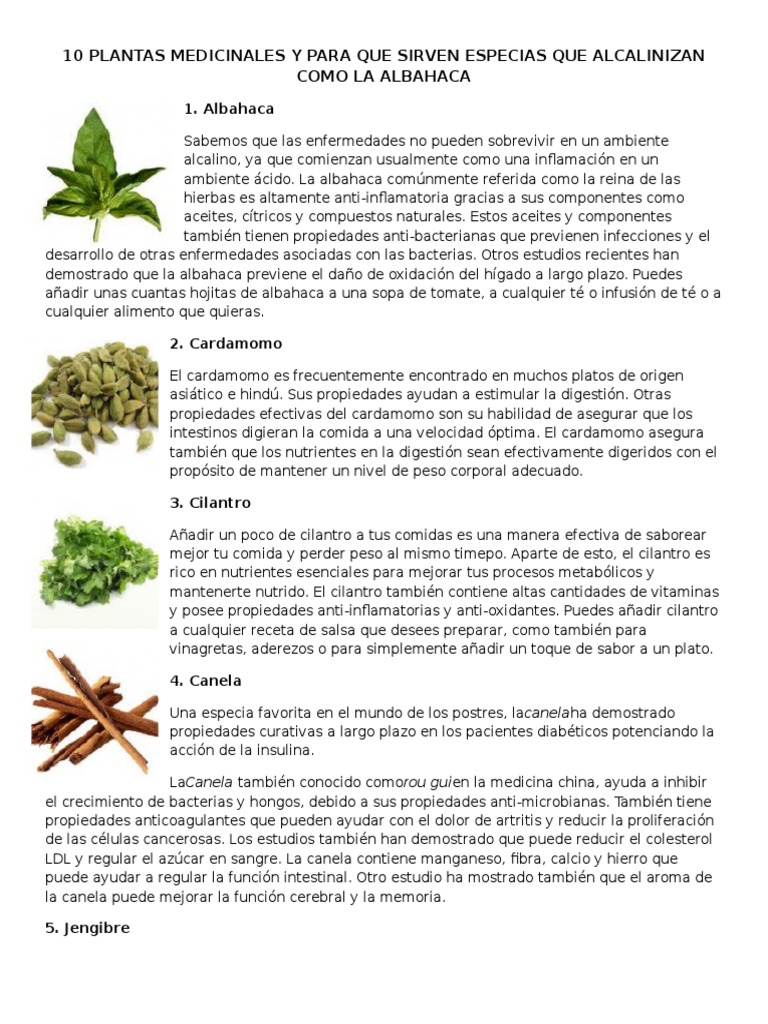 10 Plantas Medicinales y Para Que Sirven Especias Que