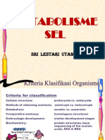 Metabolisme Mhs PDF