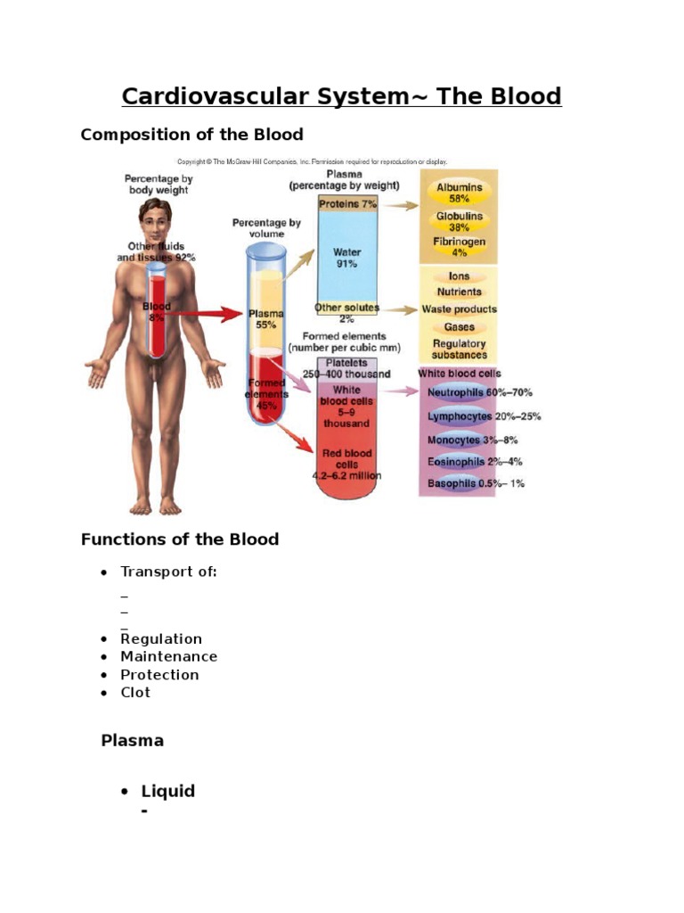 Overview of Blood Composition and Functions | PDF