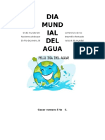 El Día Mundial Del Agua Fue Propuesto en La Conferencia de Los