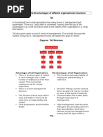 Download Organisational Structures Advantages and Disadvantages by neyplayer SN305031334 doc pdf